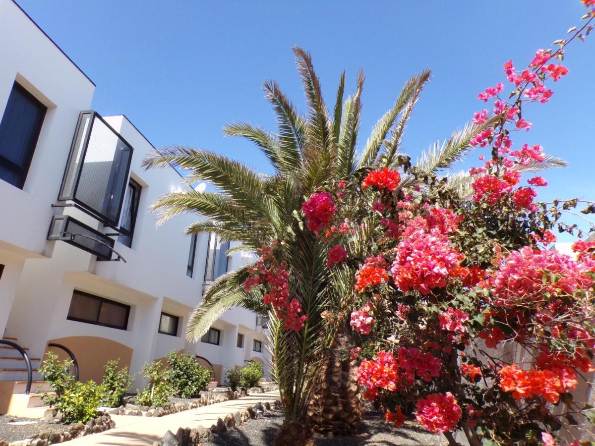 Amaya Ocean View Apartment Costa De Antigua Bagian luar foto
